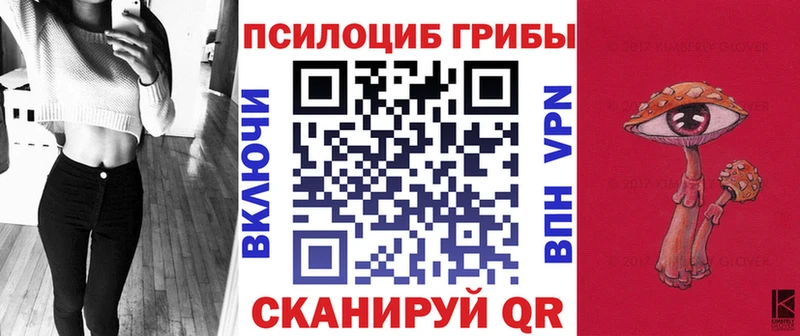 Купить где  Мглин  Галлюциногенные грибы GOLDEN TEACHER 